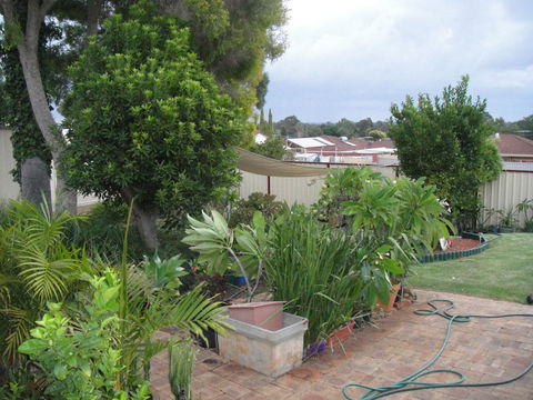 Armadale Cottage Bed & Breakfast - Holiday Cairns 39