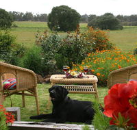 Silversprings cottages - Holiday Cairns