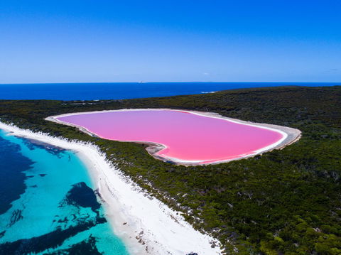 Esperance YHA - Holiday Cairns 26