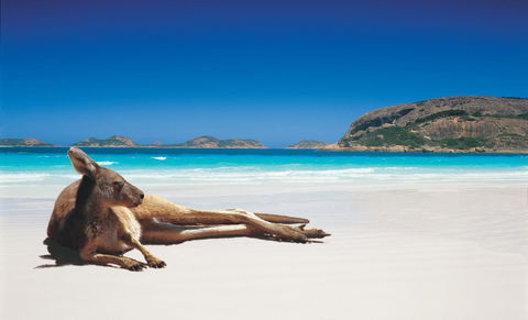 Esperance YHA - Holiday Cairns 14