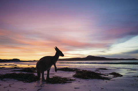 Esperance YHA - Holiday Cairns 20