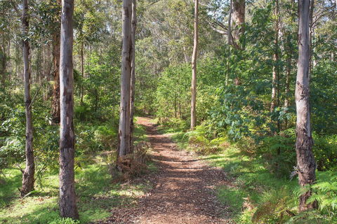 Tall Trees Margaret River - Holiday Cairns 4