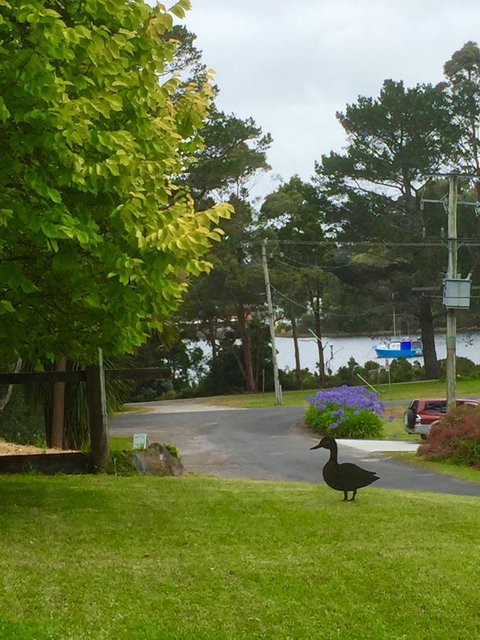 Wandering Geese Boutique Bed And Breakfast - Holiday Cairns 15