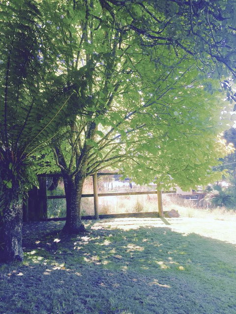 Wandering Geese Boutique Bed And Breakfast - Holiday Cairns 30