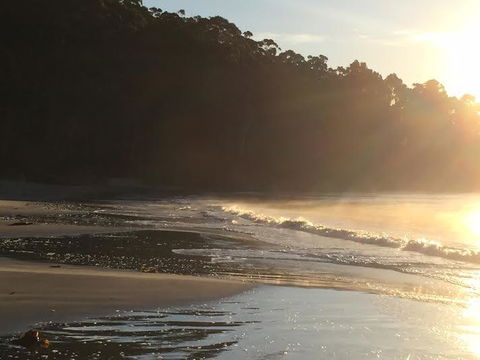 Summertime Cottage - Holiday Cairns 7
