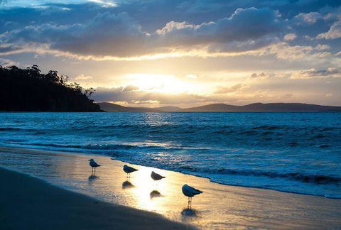 The Ultimate Beach House - Holiday Cairns 8