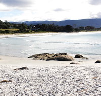 Mermaids of Bicheno - Holiday Cairns