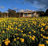 Mountain Blue Guest House - Holiday Cairns