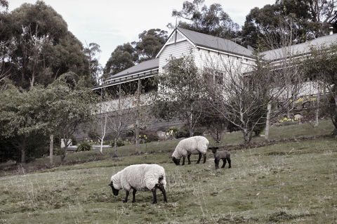 House On The Hill Bed And Breakfast - Holiday Cairns 19