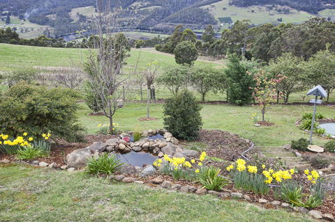 House On The Hill Bed And Breakfast - Holiday Cairns 36