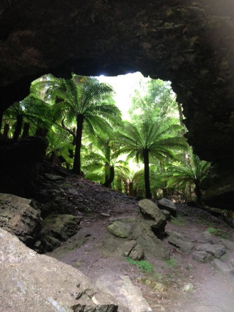 Sheer Pleasure Accommodation - Holiday Cairns 21