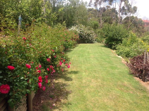 Sheer Pleasure Accommodation - Holiday Cairns 7