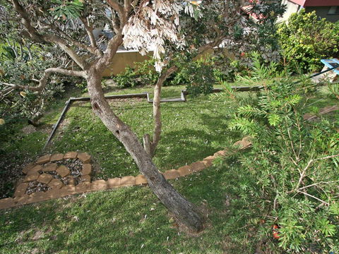 Now And Then 1/42 Clarence Street - Holiday Cairns 3