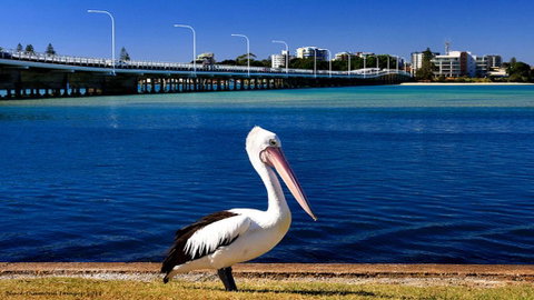 Parkside Marina 1 - CBD Location - Holiday Cairns 2
