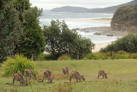 Pretty Beach Cabins - Holiday Cairns 3