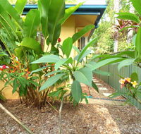 Rainforest Cottage Cairns - Holiday Cairns