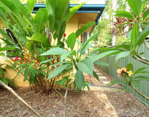 Rainforest Cottage Cairns - Holiday Cairns 0