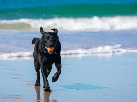 Ralph's Cottage Orion Drive Yamba - Pet Friendly Photos Available Shortly Free Wi-Fi - Holiday Cairns 1