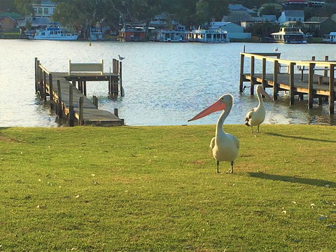 Riverfront Getaway - Mannum - Holiday Cairns 0