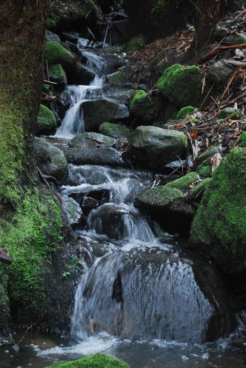 Rocky Creek Art Garden B&B - Holiday Cairns 3