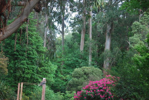 Rocky Creek Art Garden B&B - Holiday Cairns 2