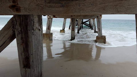 Seagrass 3 - Holiday Cairns 1