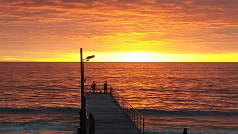 Seagrass 3 - Holiday Cairns 3