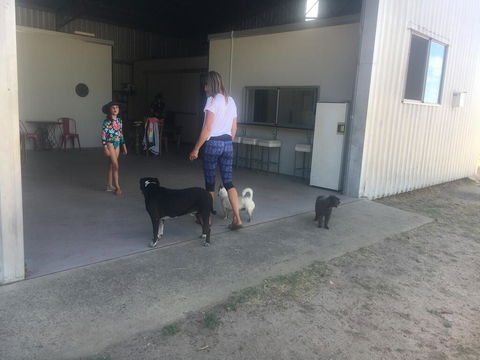 Something Different - Holiday Cairns 2