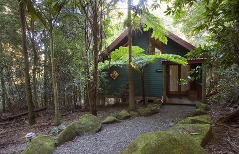 Springbrook Lyrebird Retreat - Holiday Cairns 1