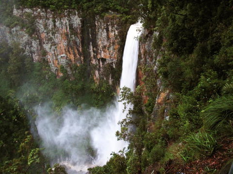 Springbrook Lyrebird Retreat - Holiday Cairns 2