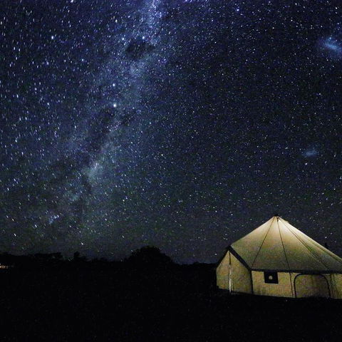 Starfields Luxury Camping - Holiday Cairns 3