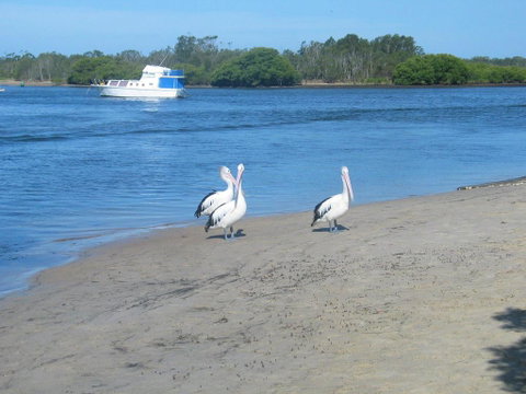 Stunning Holiday Townhouse - Holiday Cairns 3