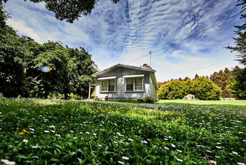Tarkinegrove - Holiday Cairns 0