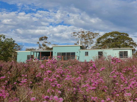 Tea Tree Hollow - 50 Percent Off Third Night On Weekend - Holiday Cairns 1