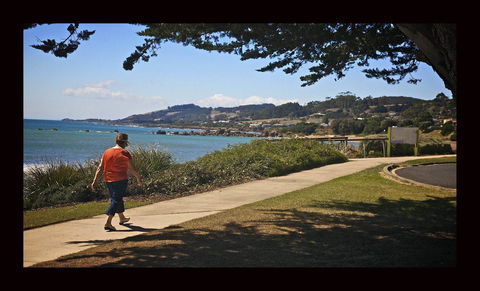 Penguin Beachfront Apartments - Holiday Cairns 6