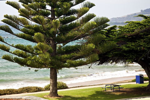 Penguin Beachfront Apartments - Holiday Cairns 9