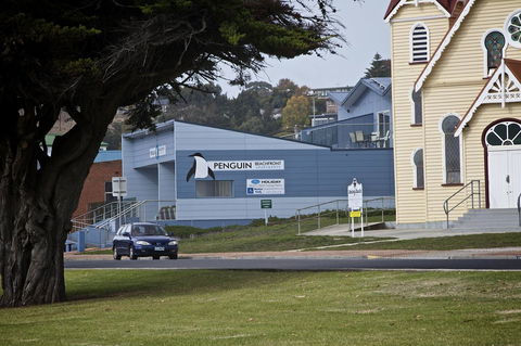 Penguin Beachfront Apartments - Holiday Cairns 19