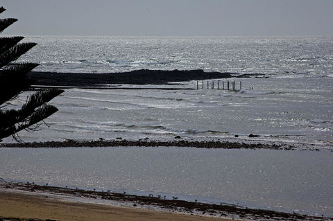 Penguin Beachfront Apartments - Holiday Cairns 15