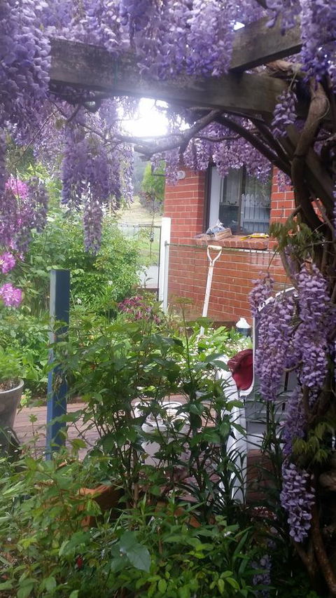 Birch Lane - Holiday Cairns 41