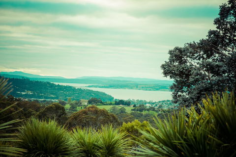 The Hobart Entrance - Holiday Cairns 37
