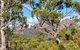 Freycinet Haven - thumb 4