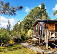 Southern Forest Accommodation - Holiday Cairns