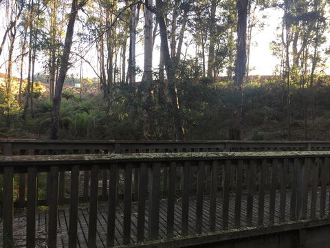 Harlea - Holiday Cairns 13