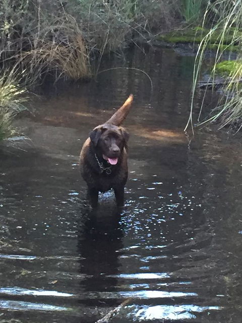 Harlea - Holiday Cairns 27