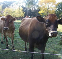 Drumreagh Bed  Breakfast Cabins - Holiday Cairns