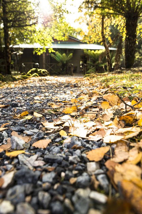 Cradle Forest Inn - Holiday Cairns 35