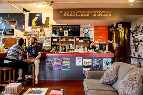 The Pickled Frog - Holiday Cairns 0