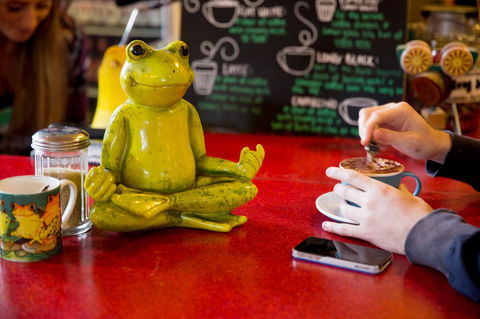The Pickled Frog - Holiday Cairns 30