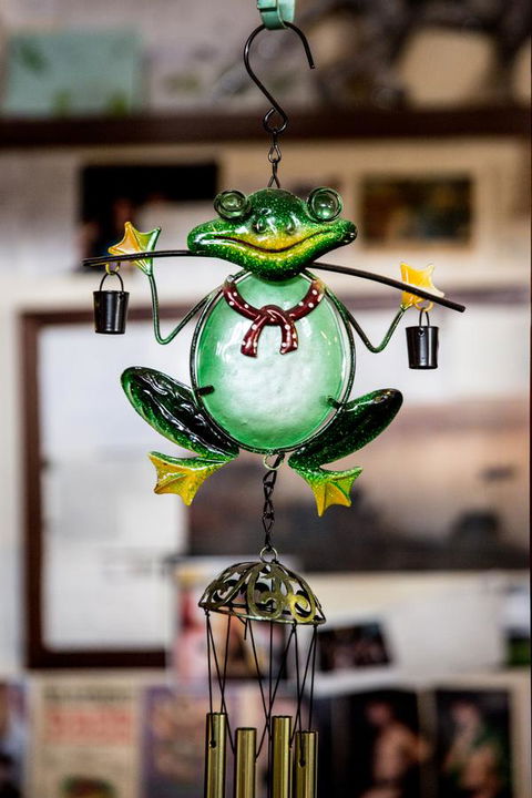 The Pickled Frog - Holiday Cairns 35