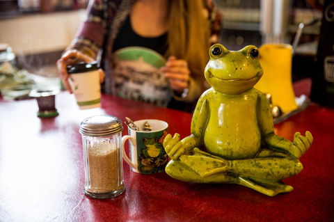 The Pickled Frog - Holiday Cairns 32